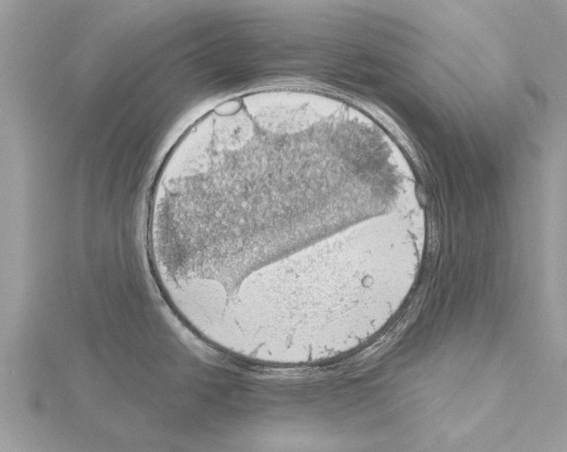 X0000115031438200912071039