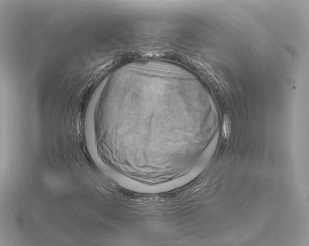 X0000115031444200912071038