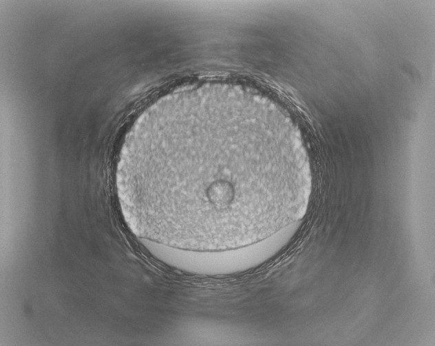 X0000115031445200912071038