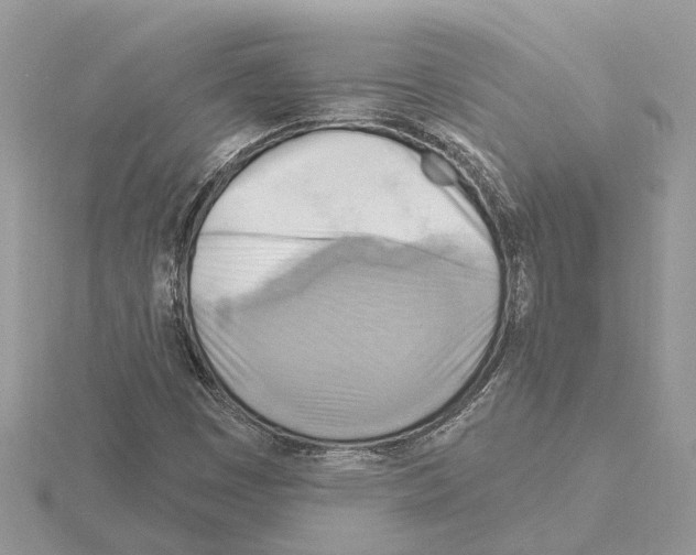 X0000115031449200912071038