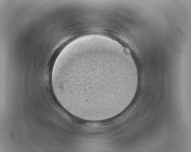 X0000115031450200912071038