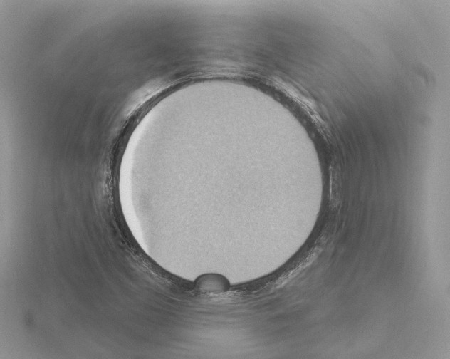 X0000115031453200912071038