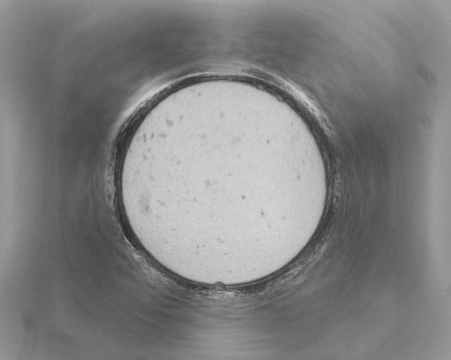 X0000115031456200912071038