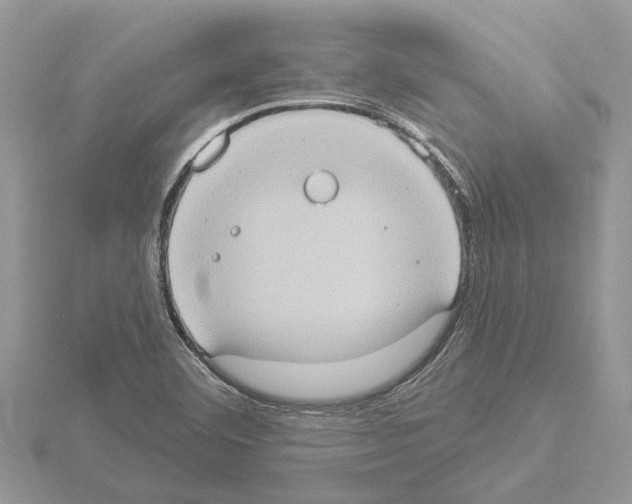 X0000115031460200912071038