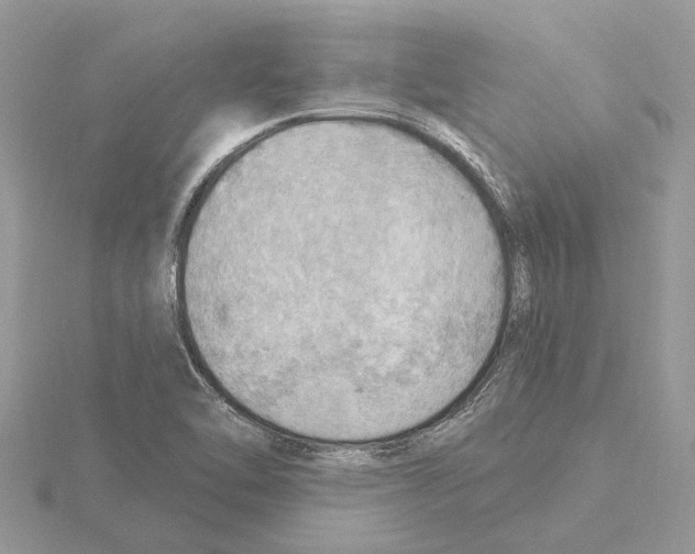 X0000115031462200912071038