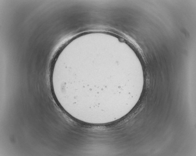 X0000115031464200912071038