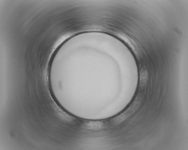 X0000115031466200912071038