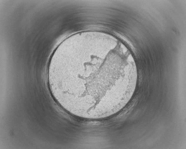 X0000115031467200912071038