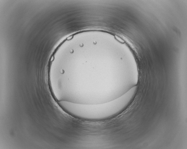 X0000115031468200912071038