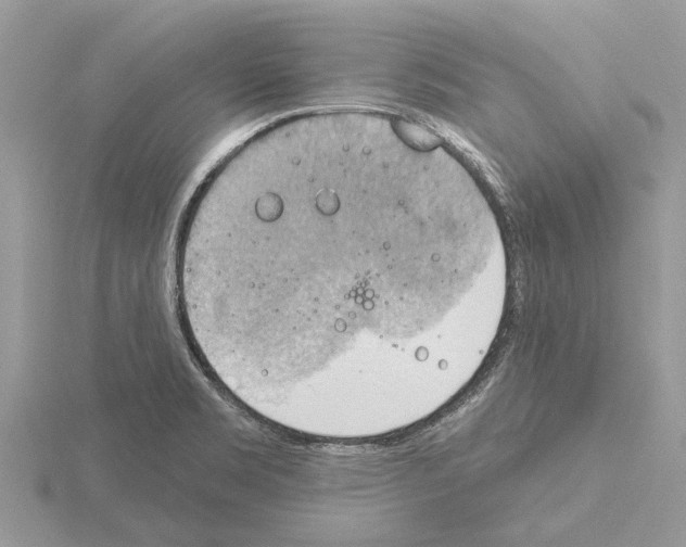 X0000115031469200912071038