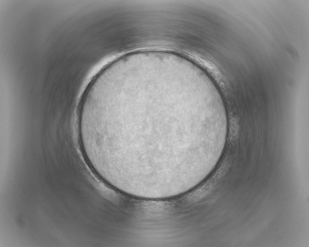 X0000115031470200912071038