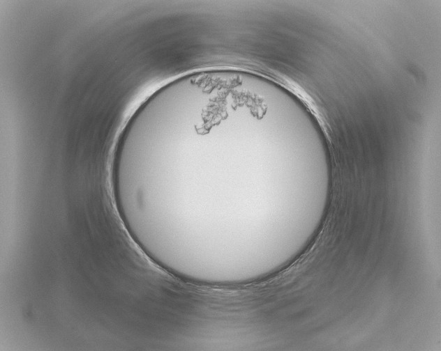 X0000115031472200912071038