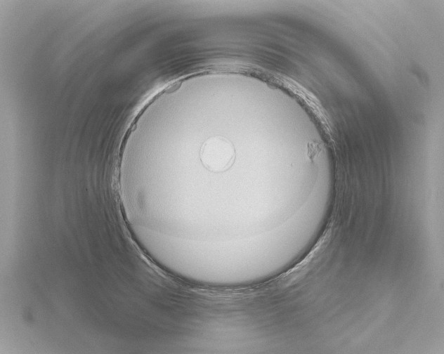 X0000115031473200912071038