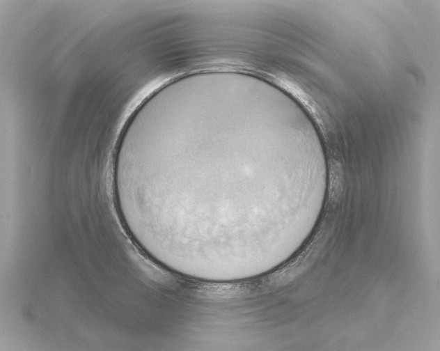 X0000115031474200912071038