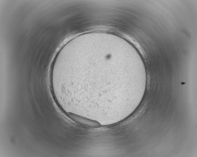 X0000115031475200912071038