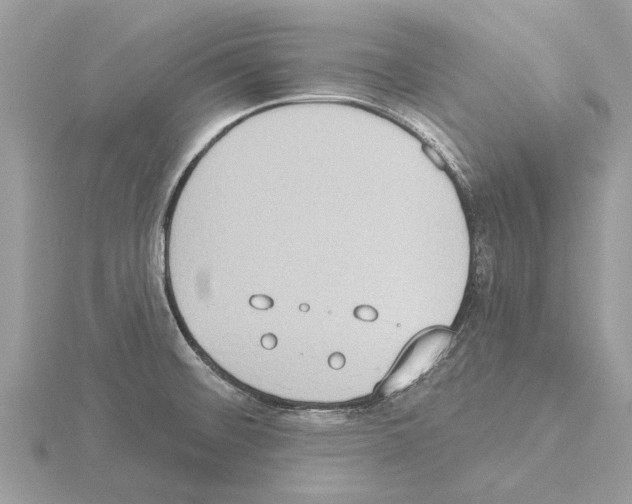 X0000115031476200912071038