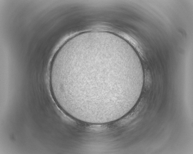 X0000115031478200912071038