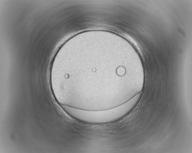 X0000115031480200912071038