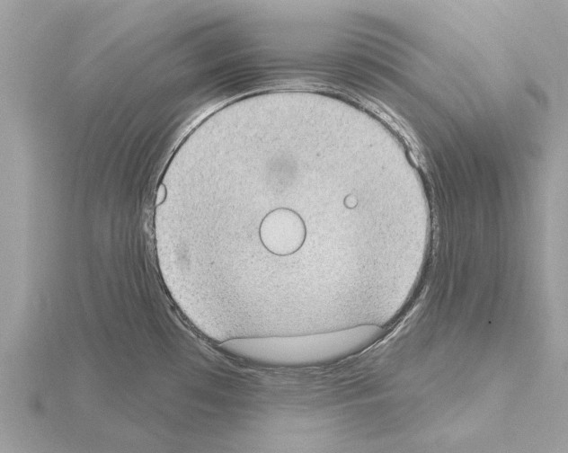 X0000115031481200912071038