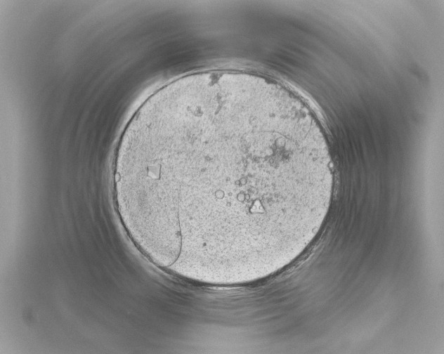 X0000115031483200912071038