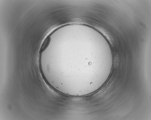 X0000115031484200912071038