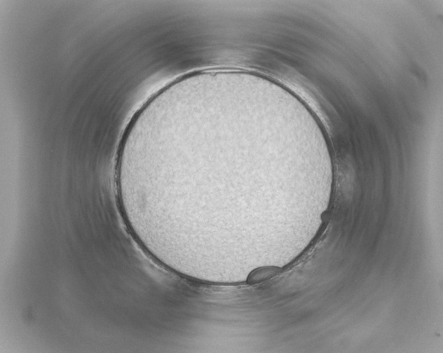 X0000115031485200912071038