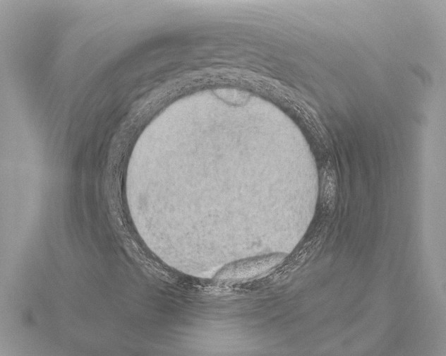 X0000115031489200912071037