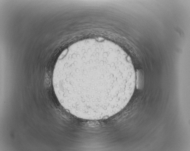 X0000115031491200912071037