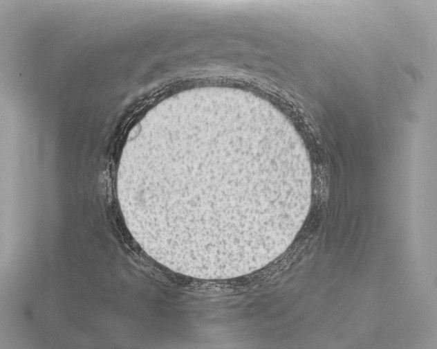 X0000115031493200912071037