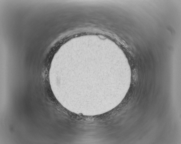 X0000115031495200912071037