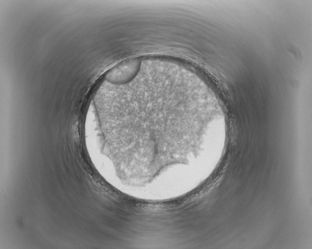 X0000115031497200912071037