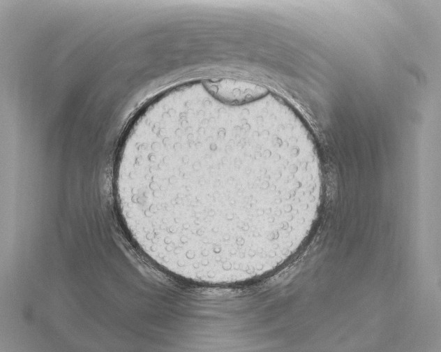 X0000115031499200912071037