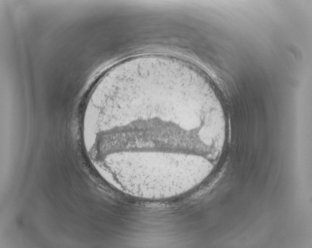 X0000115031501200912071037