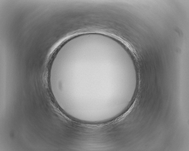 X0000115031502200912071037