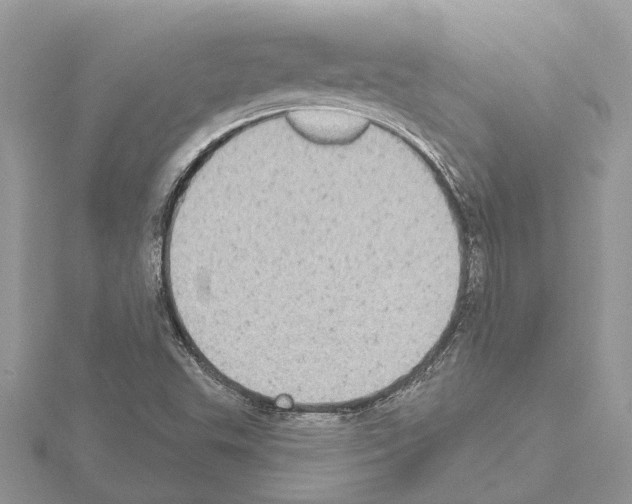 X0000115031503200912071037