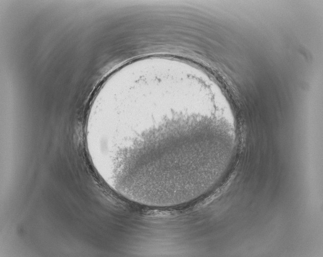 X0000115031505200912071037