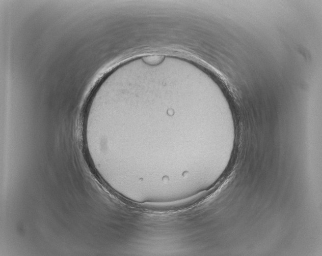 X0000115031506200912071037