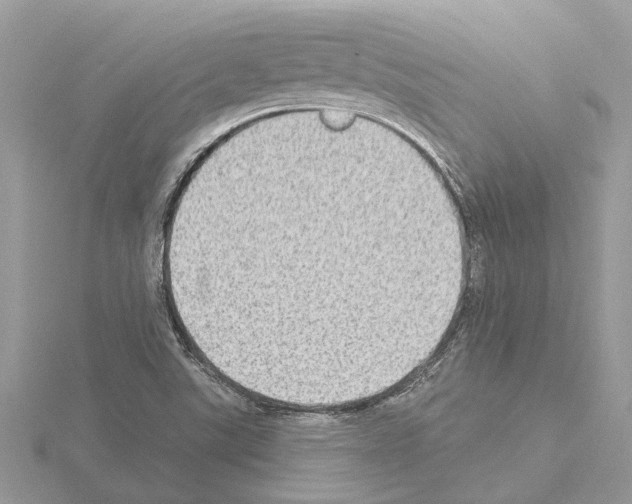 X0000115031507200912071037