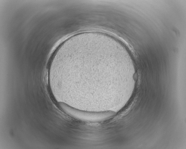 X0000115031509200912071037