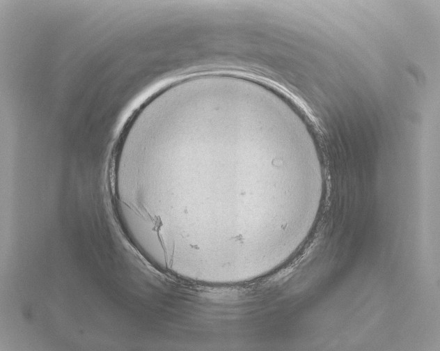 X0000115031510200912071037