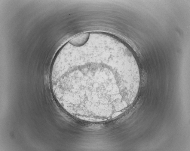 X0000115031513200912071037