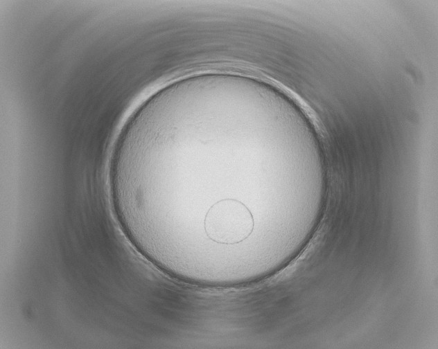 X0000115031514200912071037