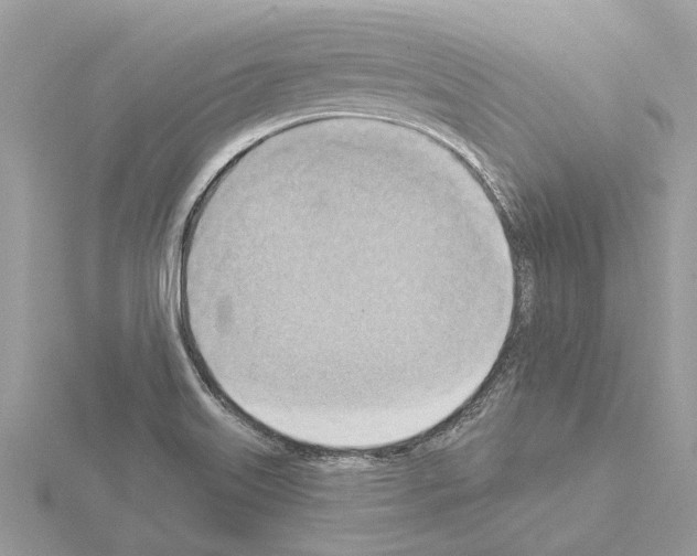 X0000115031515200912071037