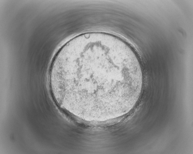 X0000115031517200912071037