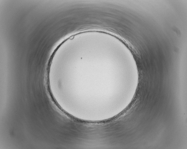 X0000115031518200912071037