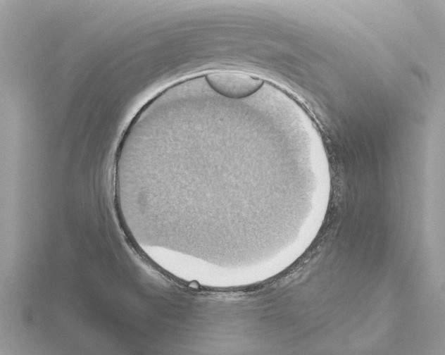 X0000115031519200912071037