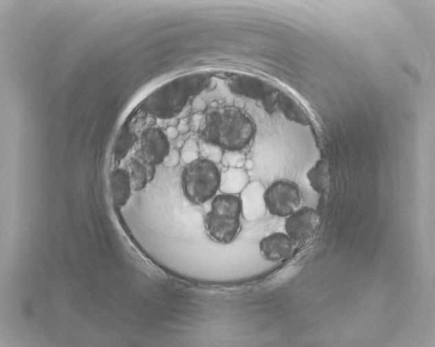 X0000115031522200912071037