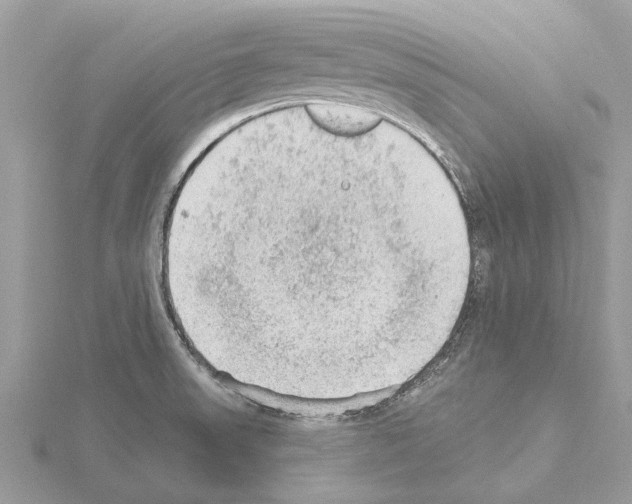 X0000115031523200912071037