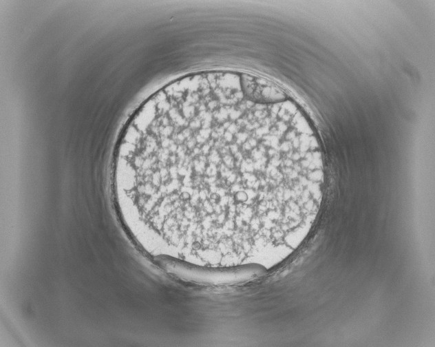 X0000115031525200912071037