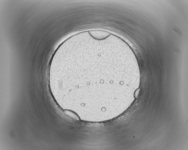 X0000115031526200912071037